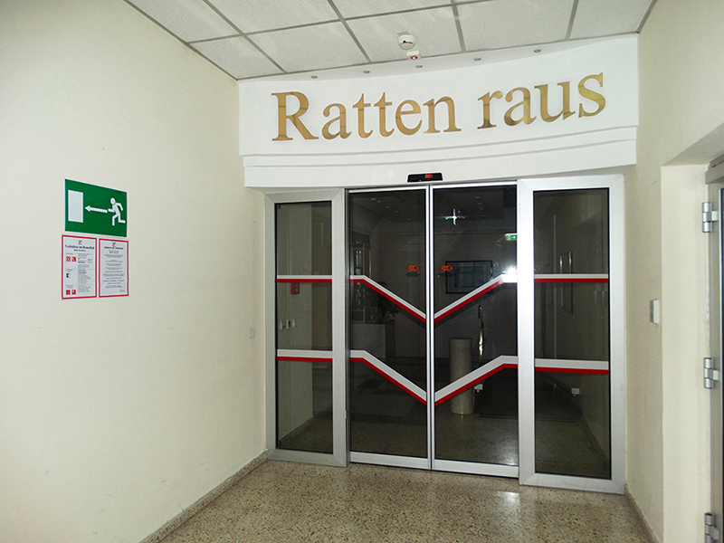 ratten raus