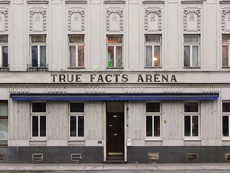true facts arena hotel
