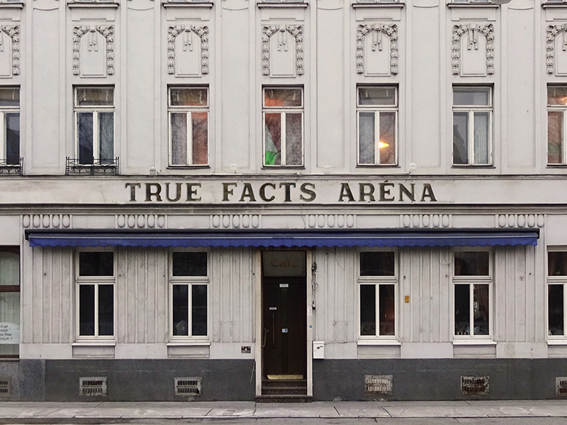 true facts arena hotel